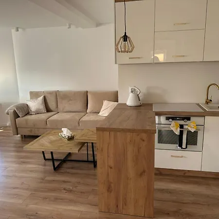 Przyjazny Pod Dzikowcem *