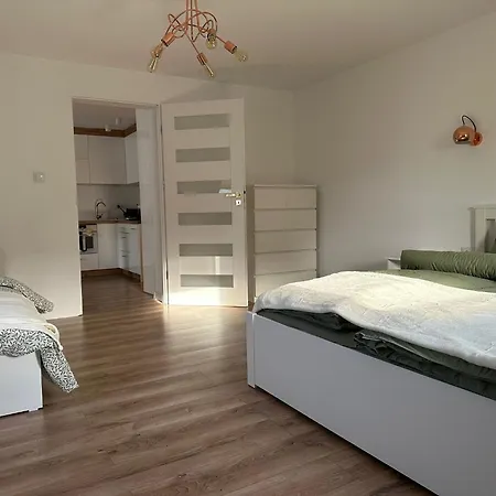 Apartament Przyjazny Pod Dzikowcem