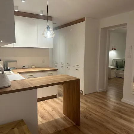 Przyjazny Pod Dzikowcem Apartament
