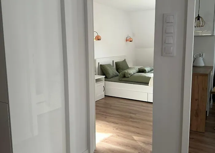 Przyjazny Pod Dzikowcem *