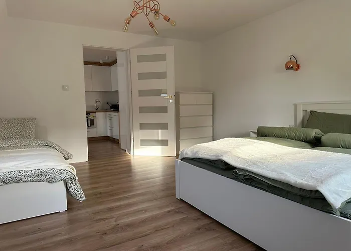 Apartment Przyjazny Pod Dzikowcem