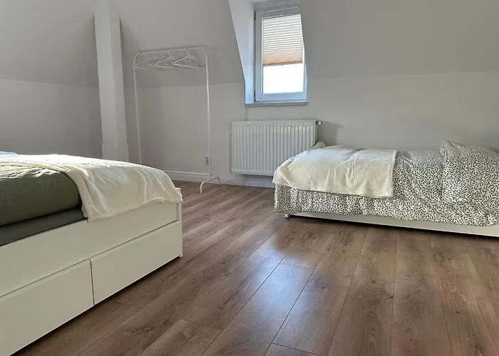 Przyjazny Pod Dzikowcem *