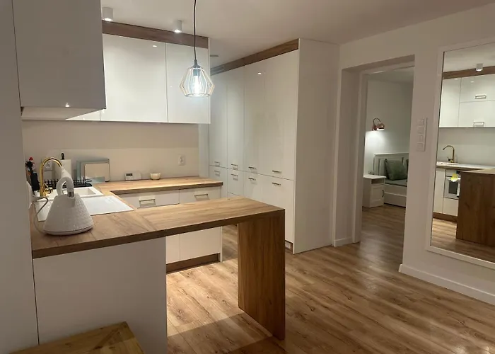 Przyjazny Pod Dzikowcem Apartament