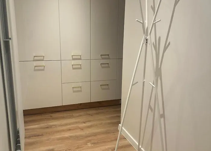 Przyjazny Pod Dzikowcem *