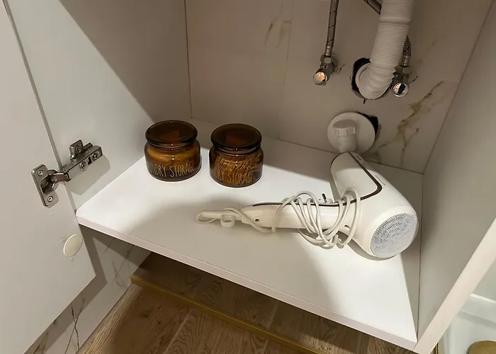 Przyjazny Pod Dzikowcem Apartment